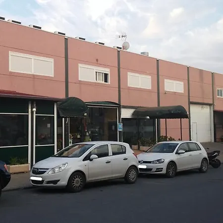 León
